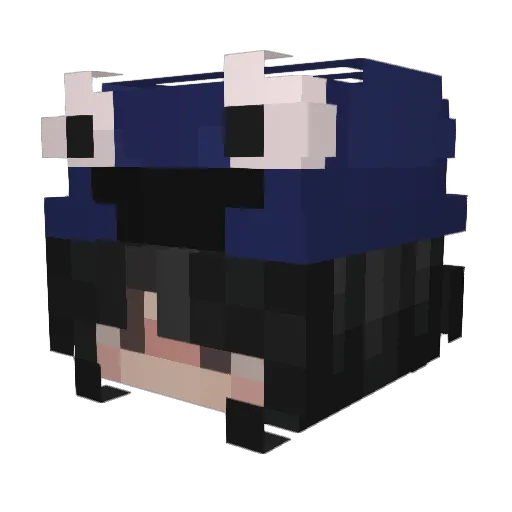 Sicolu Minecraft avatar head, 3D render