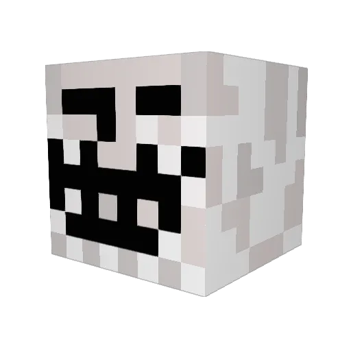 Sid1871 Minecraft avatar head, 3D render