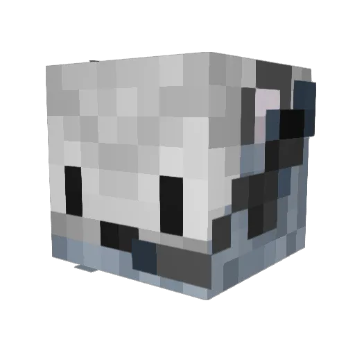 SidEffectUwU Minecraft avatar head, 3D render