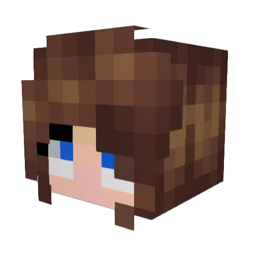 Sidboefboy Minecraft avatar head, 3D render