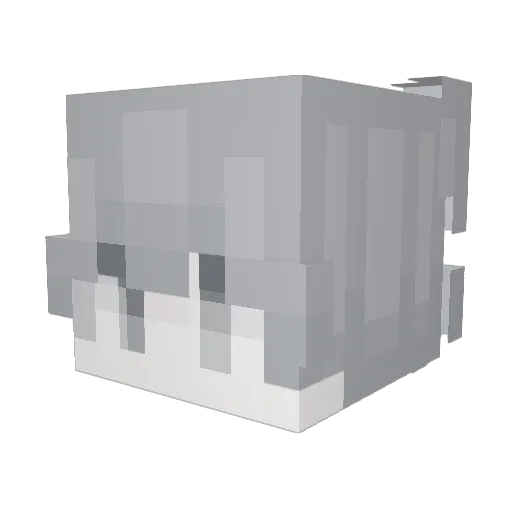 Siddvzzc Minecraft avatar head, 3D render