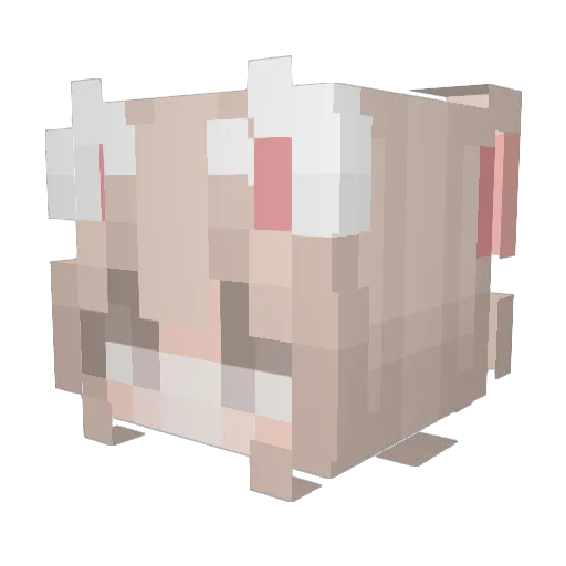 SideDoubloon913 Minecraft avatar head, 3D render