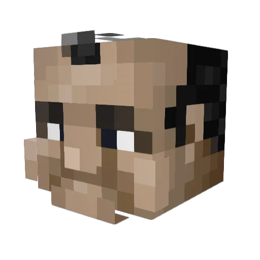 Side_of_Fries Minecraft avatar head, 3D render