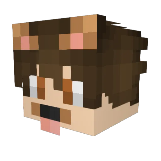 Siderzinho Minecraft avatar head, 3D render