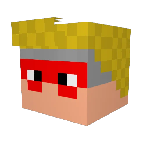 SidewayPanda Minecraft avatar head, 3D render