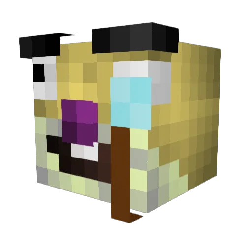 SidiDelari Minecraft avatar head, 3D render