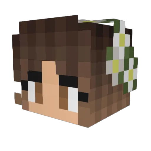 Sidmac123 Minecraft avatar head, 3D render