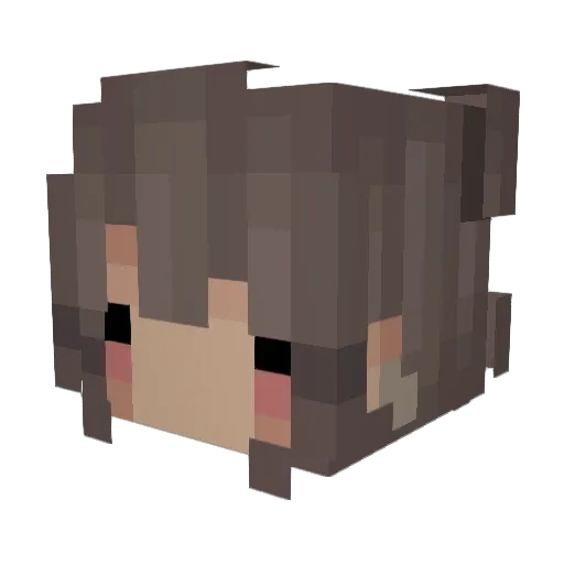 Sidnai Minecraft avatar head, 3D render