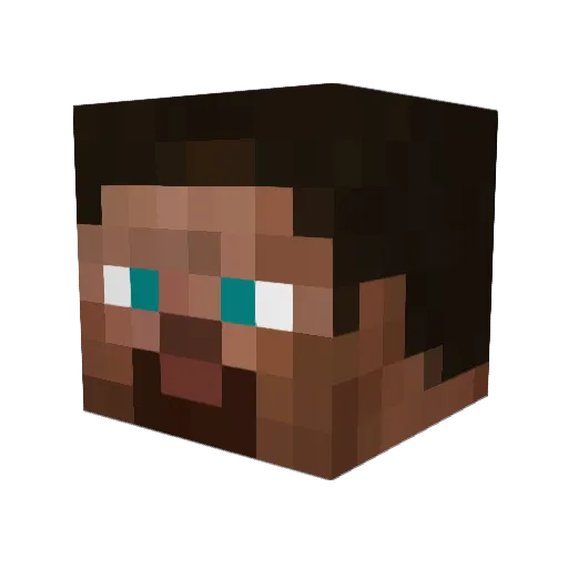 Sidnej Minecraft avatar head, 3D render