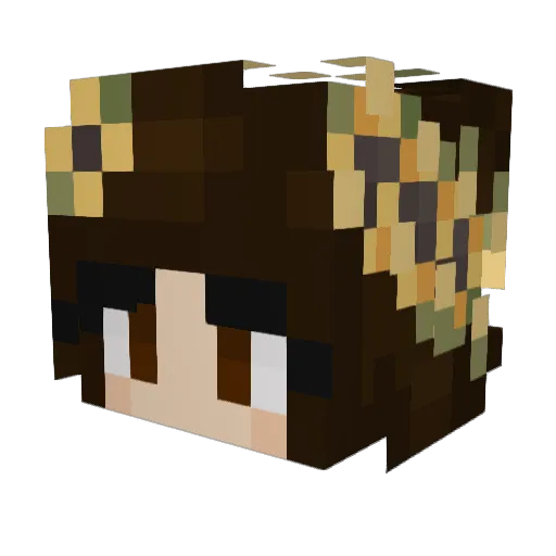 Sidney027 Minecraft avatar head, 3D render
