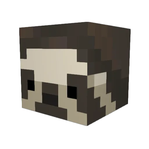 SidneyIck Minecraft avatar head, 3D render