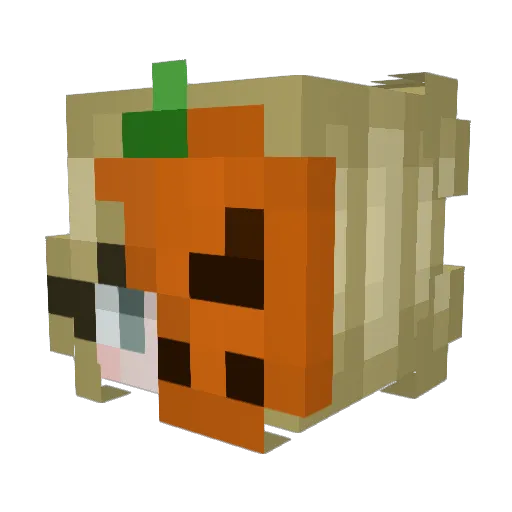 Siduuu Minecraft avatar head, 3D render