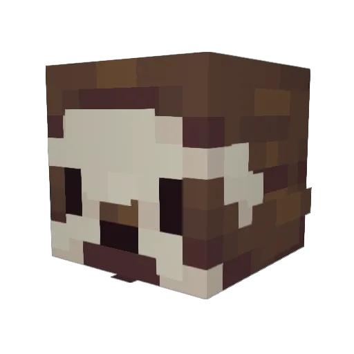 SidytheSlothy Minecraft avatar head, 3D render