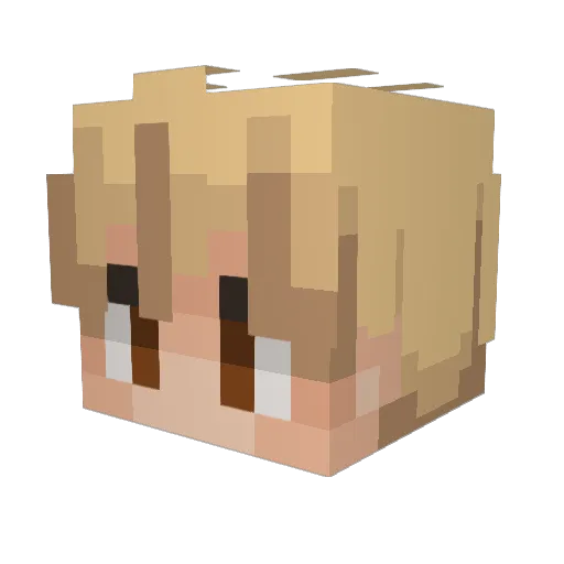 Sieboo Minecraft avatar head, 3D render
