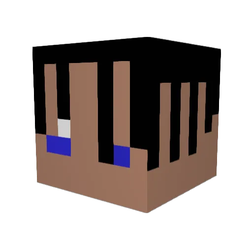 Siegelus Minecraft avatar head, 3D render