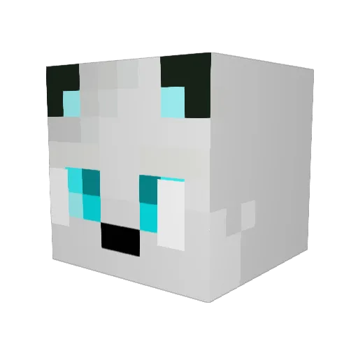 SiegetheAlpha99 Minecraft avatar head, 3D render