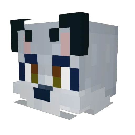 Siem231210 Minecraft avatar head, 3D render