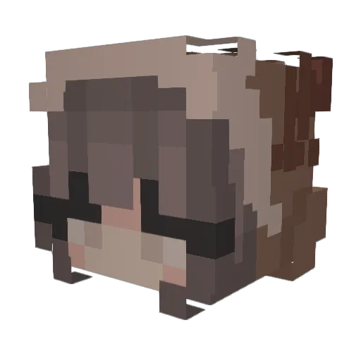 Siemkaaa200 Minecraft avatar head, 3D render