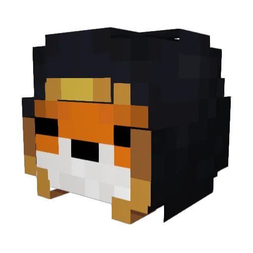 Sienna2 Minecraft avatar head, 3D render