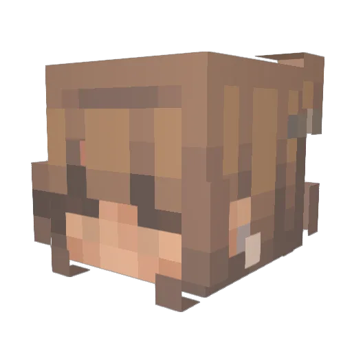 Sienna_2266 Minecraft avatar head, 3D render