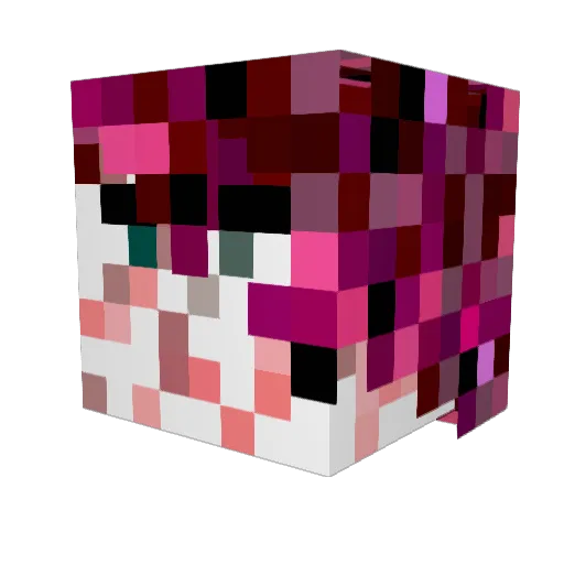 Siep2 Minecraft avatar head, 3D render