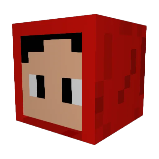 Sierr10 Minecraft avatar head, 3D render