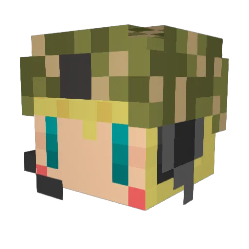 Sierra20 Minecraft avatar head, 3D render