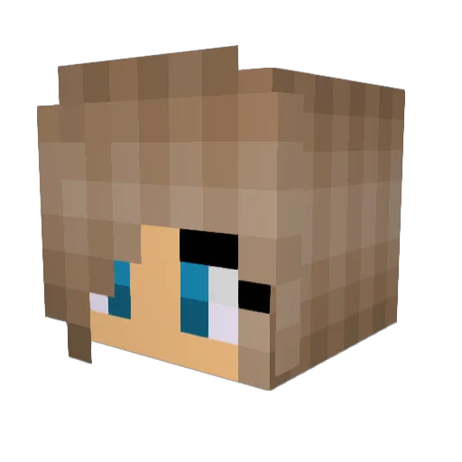SierraGleim Minecraft avatar head, 3D render