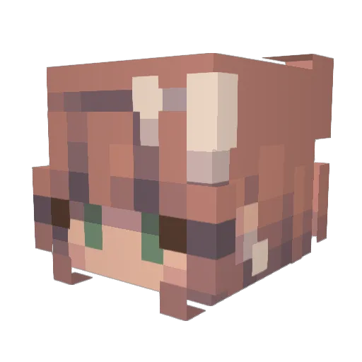 SierraGorgio Minecraft avatar head, 3D render