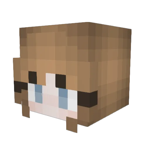 SierraMist220 Minecraft avatar head, 3D render