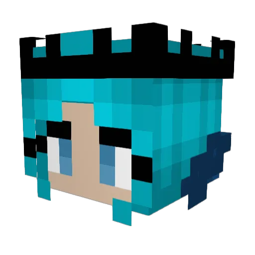 SierraWhiskey283 Minecraft avatar head, 3D render