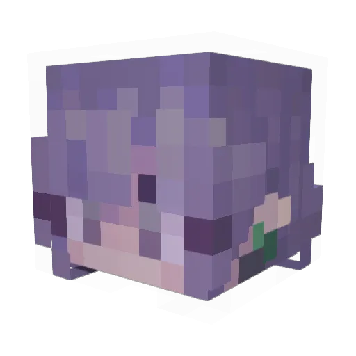 Sierv Minecraft avatar head, 3D render