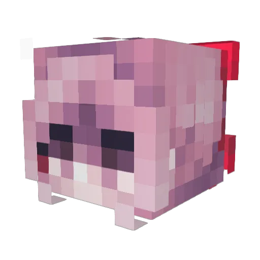 Siesta13 Minecraft avatar head, 3D render