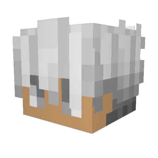 Siffin Minecraft avatar head, 3D render