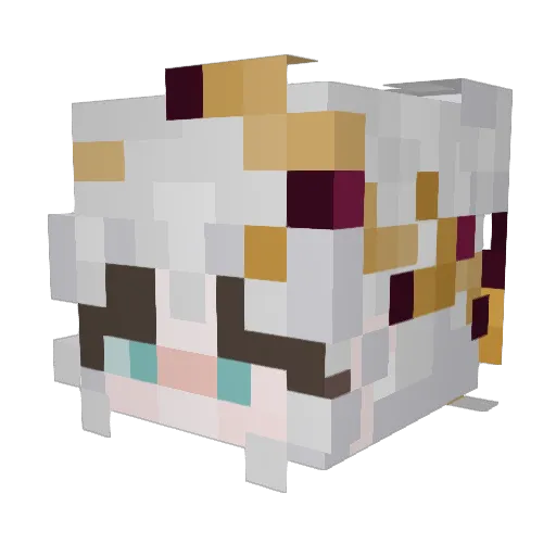 Sift__ Minecraft avatar head, 3D render
