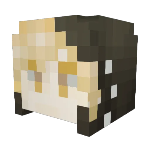 Sigaba Minecraft avatar head, 3D render
