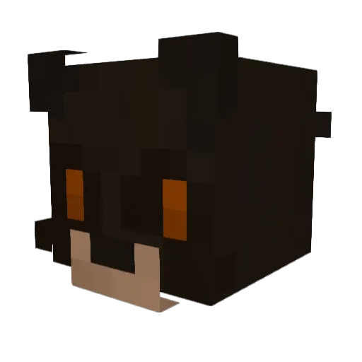 Sigarus Minecraft avatar head, 3D render