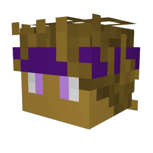 Sigathis Minecraft avatar head, 3D render