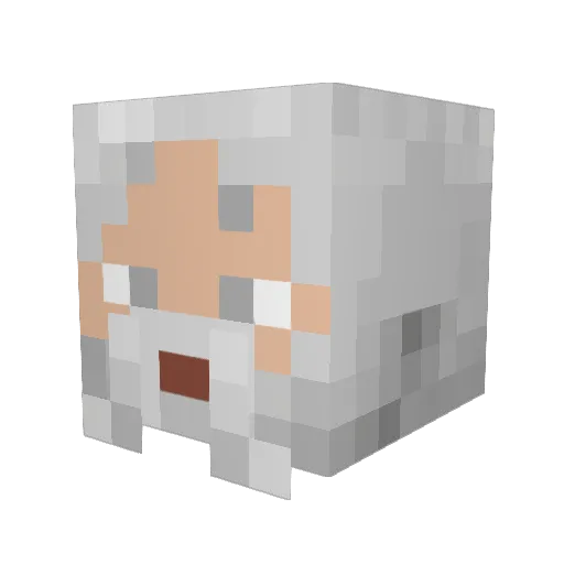 Sigbarth Minecraft avatar head, 3D render