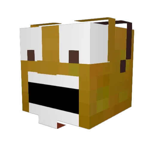 SiggyHawk84 Minecraft avatar head, 3D render