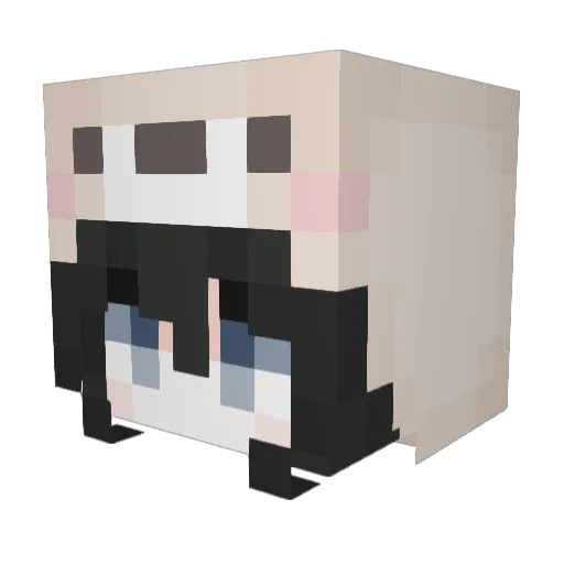 Sigh1245 Minecraft avatar head, 3D render