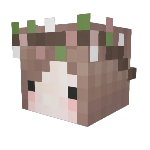 SighInSwahili Minecraft avatar head, 3D render