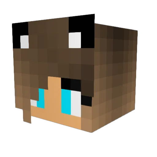 SighRiki Minecraft avatar head, 3D render