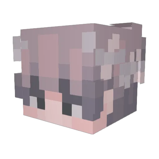 SighTnT Minecraft avatar head, 3D render