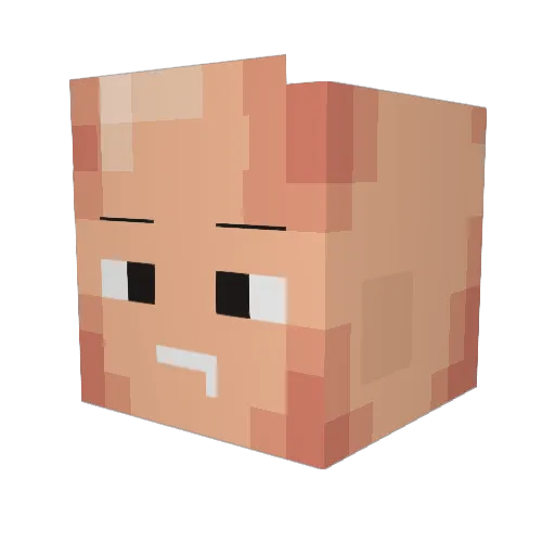 Sight27 Minecraft avatar head, 3D render