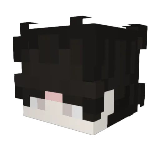 SightSFT Minecraft avatar head, 3D render