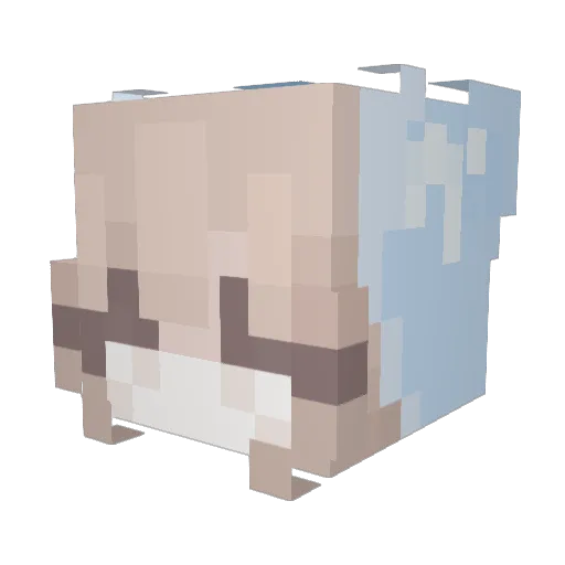 Sightweb Minecraft avatar head, 3D render