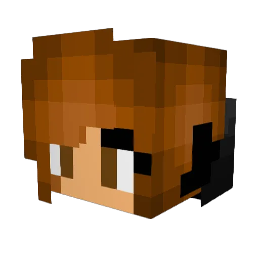 Sigikid1 Minecraft avatar head, 3D render