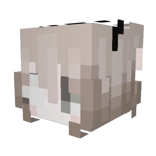 Sigilism Minecraft avatar head, 3D render