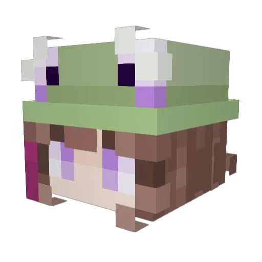 Sigismund113 Minecraft avatar head, 3D render